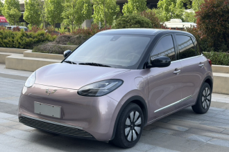 五菱汽车 五菱缤果 2023款 333km 悦享款