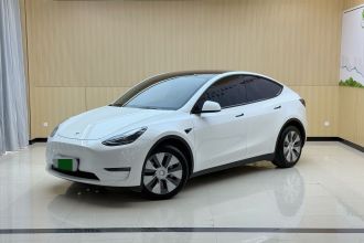 特斯拉 Model Y 2022款 长续航全轮驱动版