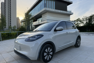 五菱汽车 五菱缤果 2024款 333km 悦享款