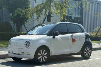 欧拉黑猫 2021款 351km 豪华型