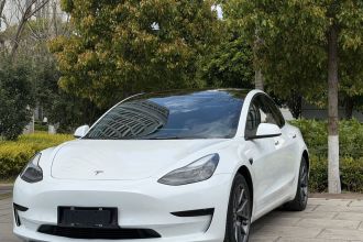 特斯拉 Model 3 2019款 标准续航后驱升级版