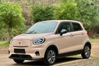 零跑汽车 零跑T03 2021款 400轻享版 磷酸铁锂