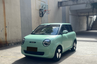 长安启源 长安Lumin 2022款 301km 蜜甜款