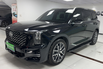 广汽传祺 传祺GS8 2025款 领航系列 2.0TGDI 两驱豪华版 5座