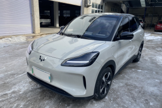 五菱汽车 五菱缤果PLUS 2024款 510km 五座版