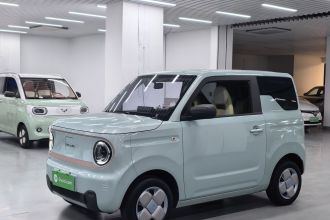 吉利银河 2023款 熊猫mini 200km 耐力熊