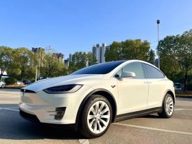 特斯拉 2016款 Model X 75D