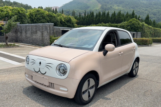 欧拉黑猫 2021款 301km 萌宠版