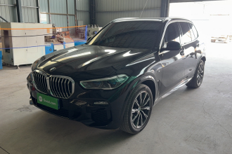宝马X5(进口) 2021款 改款 xDrive40i M运动套装