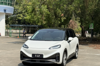 ARCFOX极狐 极狐考拉 2023款 家庭版