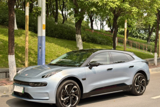 极氪001 2021款 超长续航单电机 WE版