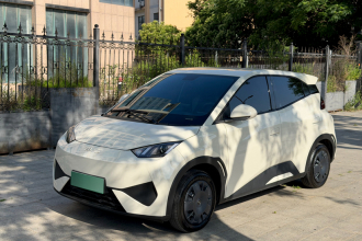 比亚迪 海鸥 2025款 智驾版 305km 活力版