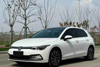 大众 高尔夫 2023款 280TSI DSG Pro