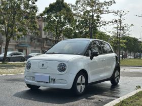 欧拉黑猫 2022款 301km 基础型 三元锂