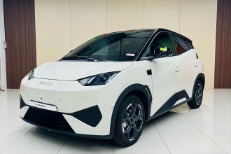 比亚迪 海鸥 2025款 智驾版 305km 自由版