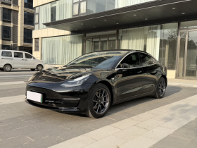 特斯拉 Model 3(进口) 2019款 长续航后驱版