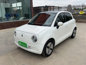 欧拉黑猫 2021款 301km 基础型