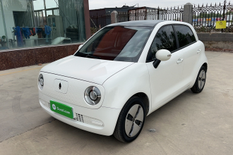 欧拉黑猫 2021款 301km 基础型