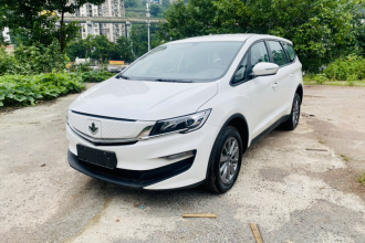 睿蓝汽车 枫叶80V 2021款 优行版 三元锂