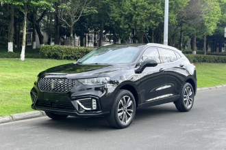 魏牌 VV5 2021款 1.5T 两驱颜先锋