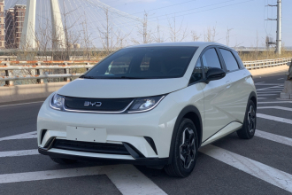 比亚迪 海豚 2025款 420km 活力版