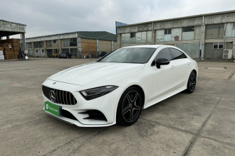 奔驰CLS 2021款 CLS 300 豪华型