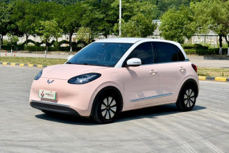 五菱汽车 五菱缤果 2023款 333km 灵犀互联+款