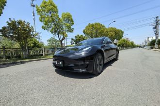 特斯拉 Model 3 2020款 长续航后轮驱动版