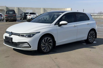 大众 高尔夫 2021款 280TSI DSG Pro