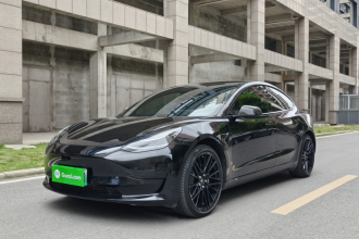 特斯拉 Model 3 2020款 标准续航后驱升级版