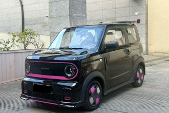 吉利银河 2025款 210km 熊猫卡丁