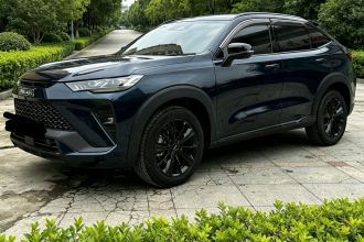 哈弗H6S 2022款 2.0T 两驱智跑版
