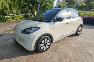 五菱汽车 五菱缤果 2023款 333km 悦享+款