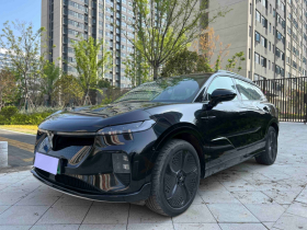 岚图汽车 岚图知音 2024款 四驱全球版