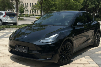 特斯拉 Model Y 2022款 后轮驱动版