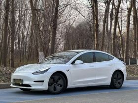 特斯拉 Model 3(进口) 2019款 标准续航后驱升级版(52度)