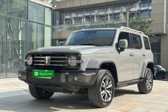 坦克300 2021款 城市版 2.0T 很有型