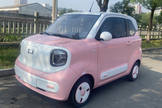 奔腾小马 2024款 170km 活力马