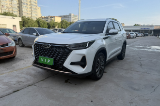 奇瑞 瑞虎8 PRO 2024款 冠军版 390T 两驱巅峰版 7座