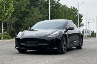特斯拉 Model 3 2021款 标准续航后驱升级版 3D6