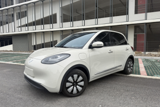 五菱汽车 五菱缤果 2024款 333km 悦享款