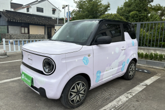 吉利银河 2023款 熊猫mini 200km 灵动熊