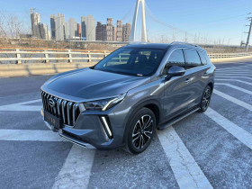 广汽传祺 传祺GS4 PLUS 2022款 390T 自动星云版