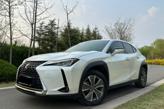 雷克萨斯UX新能源 2020款 300e 纯·享版