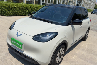 五菱汽车 五菱缤果 2023款 333km 悦享款