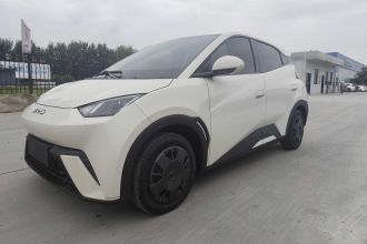 比亚迪 海鸥 2024款 荣耀版 305km 活力版