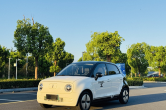 欧拉黑猫 2022款 改款 301km 萌宠版 磷酸铁锂