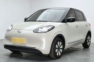 五菱汽车 五菱缤果 2023款 410km 灵犀尊享款