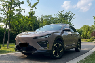 哪吒汽车 哪吒X 2023款 500 Lite