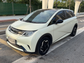 比亚迪 海豚 2021款 405km 时尚版